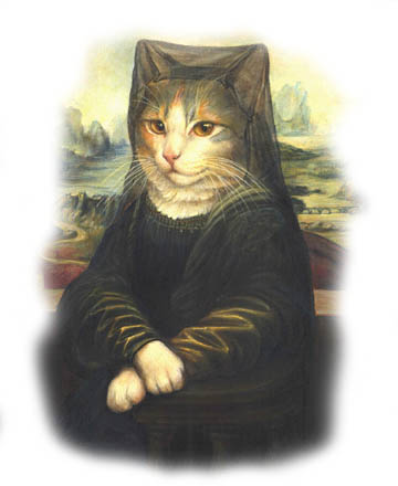 Catz 19